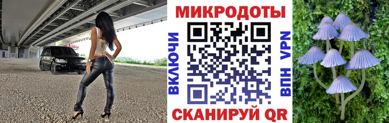 Псилоцибиновые грибы GOLDEN TEACHER Купить где Билибино